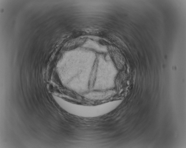 X0000084041298200703161821