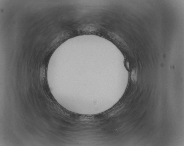 X0000084041299200703161821