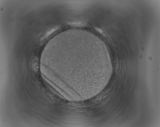 X0000084041301200703161821