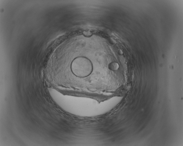 X0000084041302200703161821