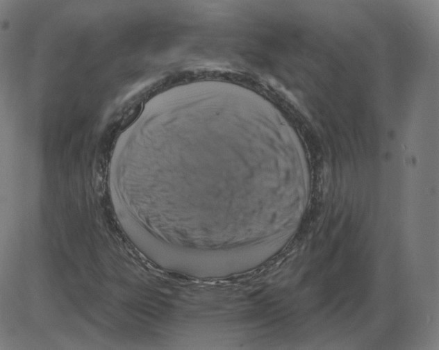 X0000084041303200703161821