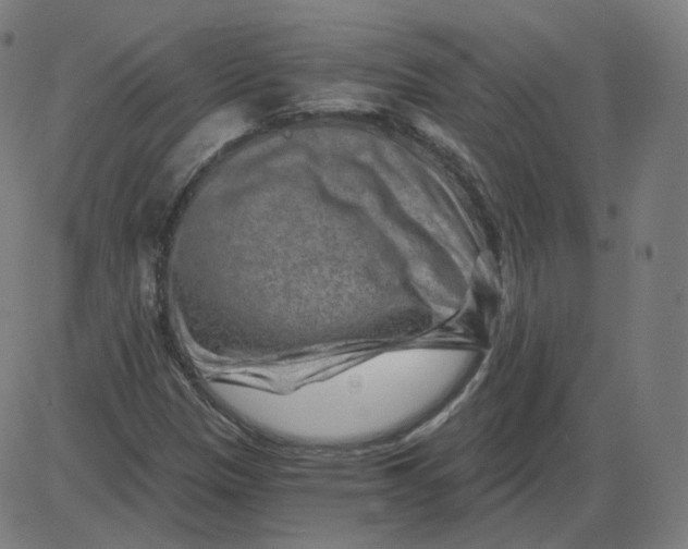 X0000084041305200703161821