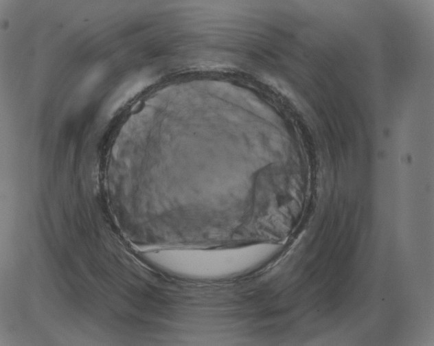 X0000084041306200703161821