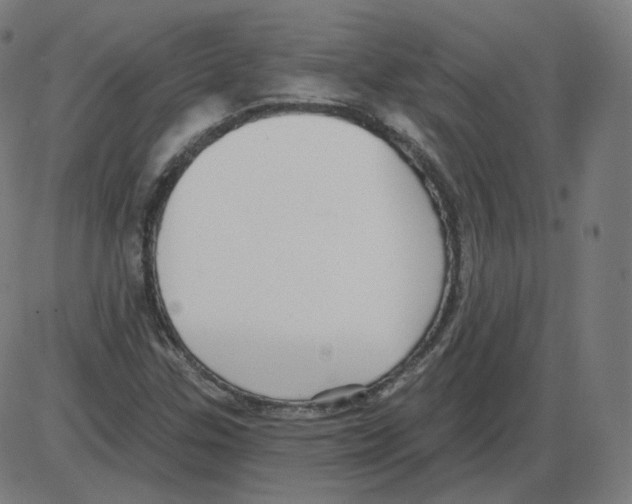 X0000084041307200703161821