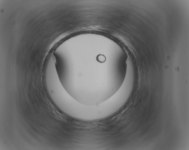 X0000084041308200703161821