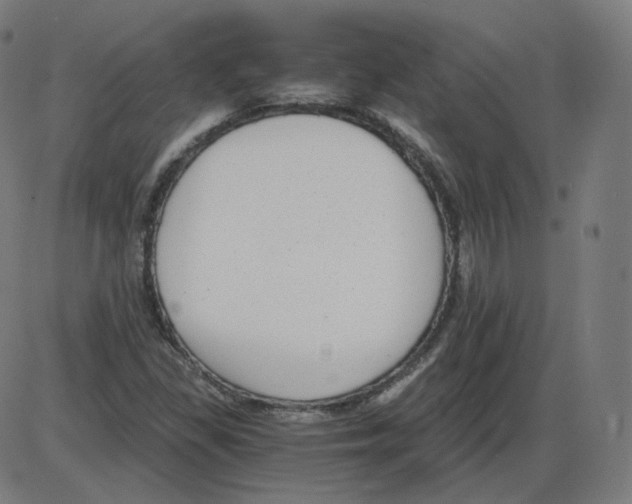 X0000084041309200703161821