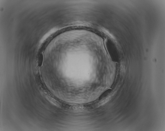 X0000084041310200703161821