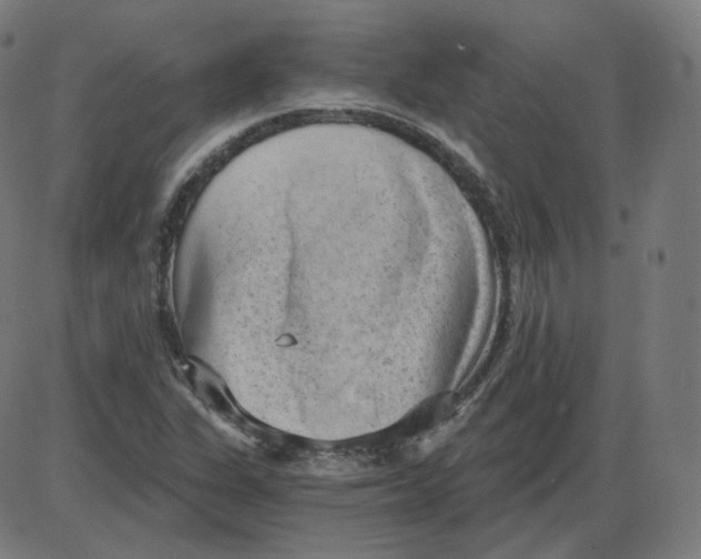 X0000084041311200703161821