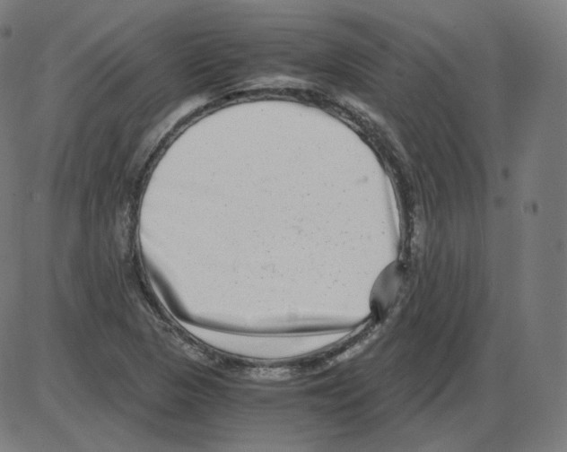 X0000084041313200703161821