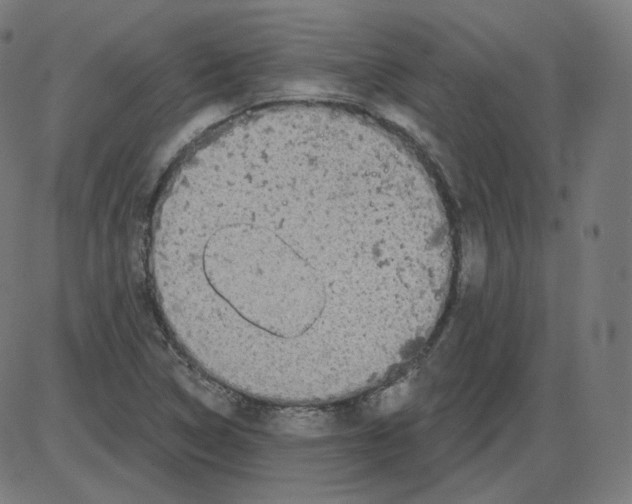 X0000084041314200703161821