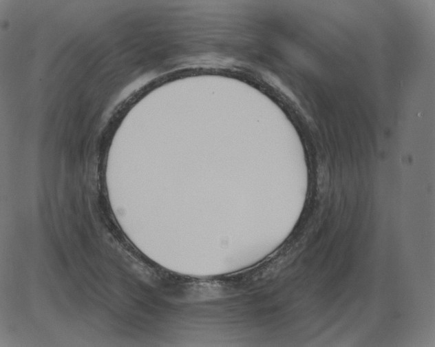 X0000084041315200703161821