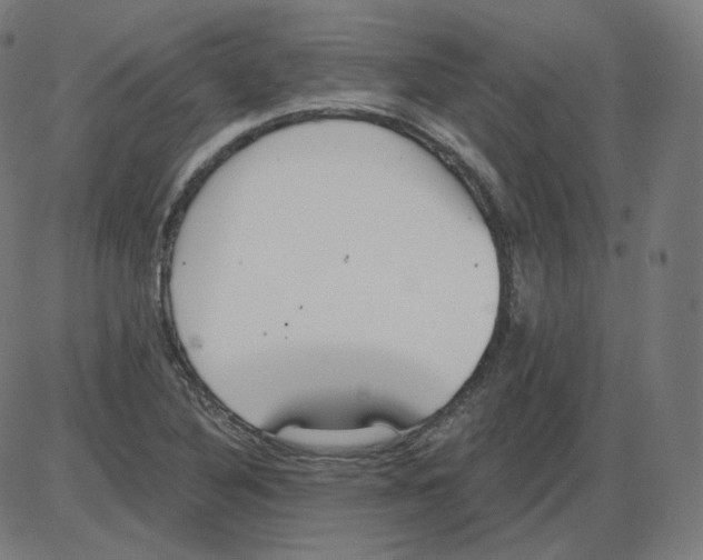 X0000084041316200703161821