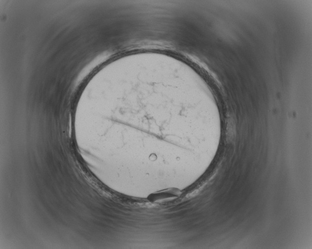 X0000084041317200703161821