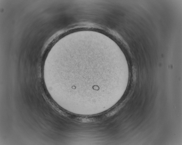 X0000084041318200703161821