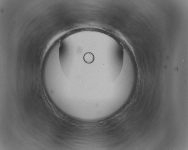 X0000084041320200703161821