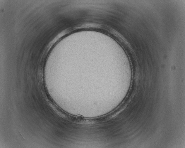 X0000084041321200703161821