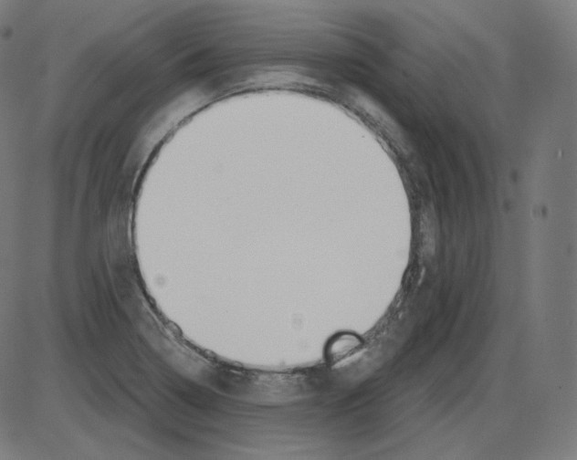 X0000084041322200703161821