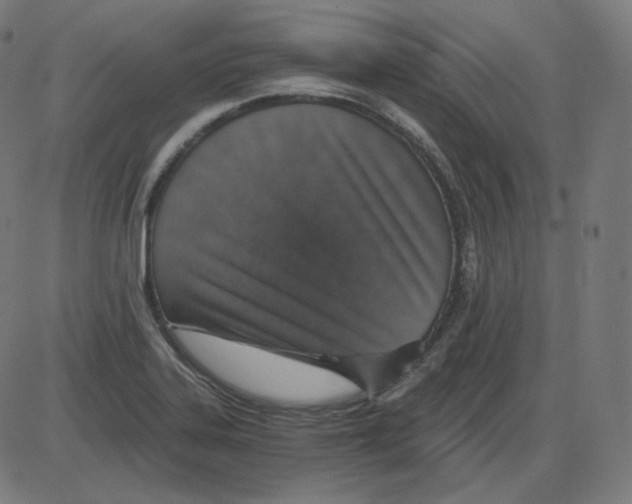 X0000084041323200703161821