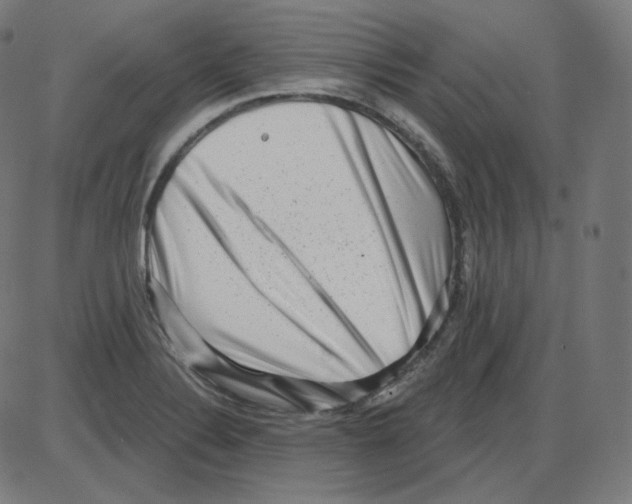 X0000084041324200703161821