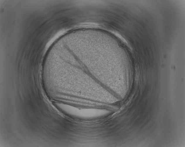 X0000084041325200703161821