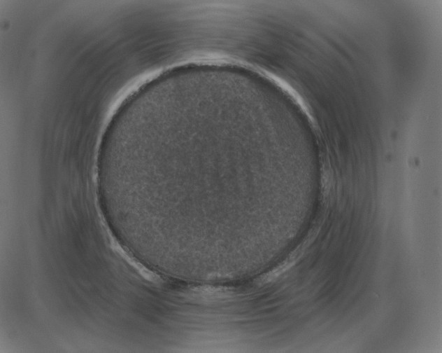 X0000084041327200703161821