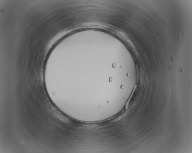 X0000084041328200703161821