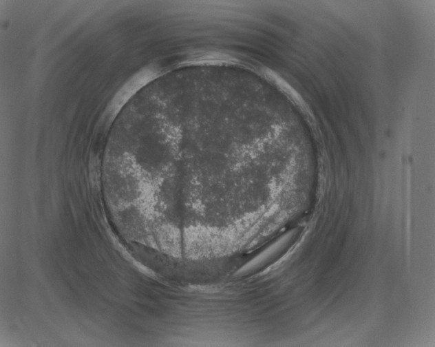 X0000084041329200703161821