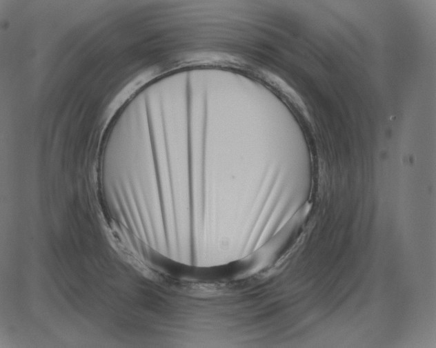 X0000084041330200703161821