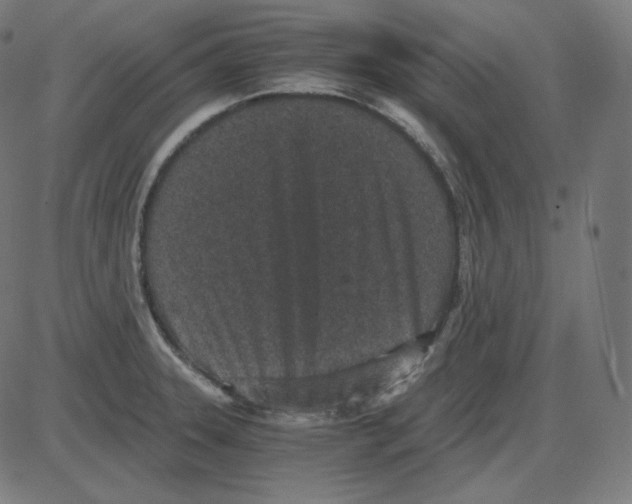 X0000084041331200703161821