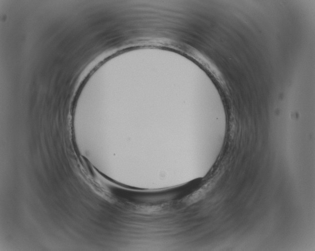 X0000084041332200703161821