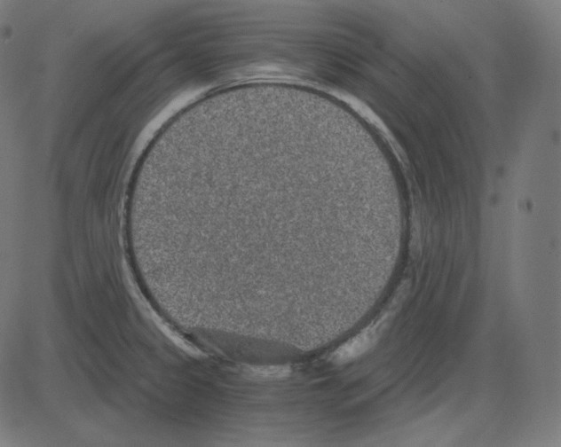 X0000084041333200703161821