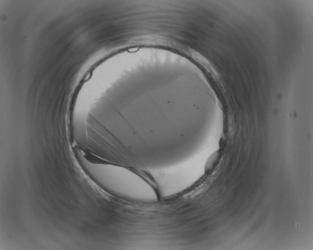 X0000084041334200703161821