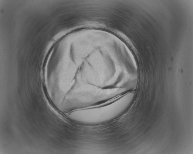 X0000084041335200703161821