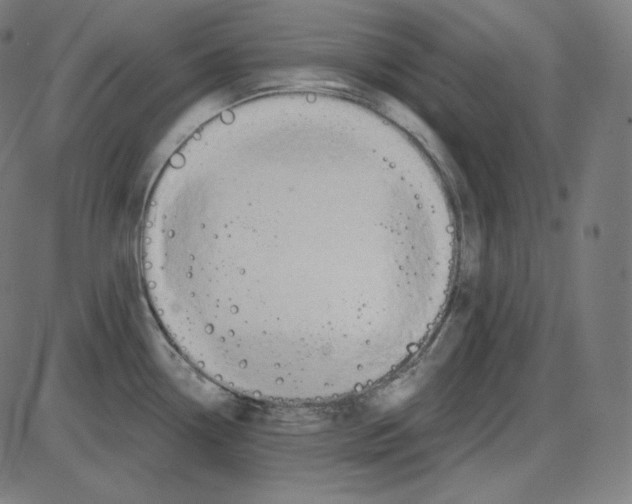 X0000084041338200703161821