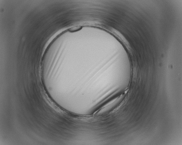 X0000084041340200703161821