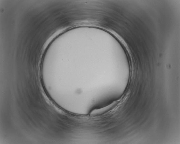 X0000084041341200703161821