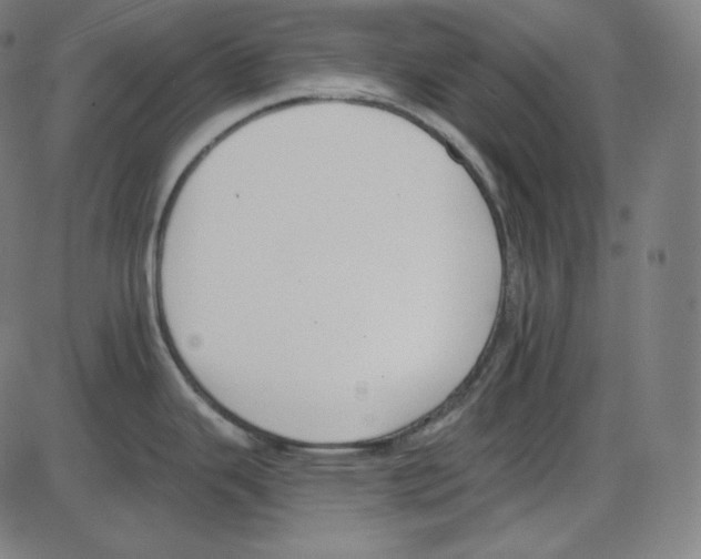 X0000084041343200703161821