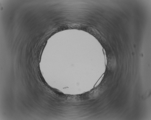 X0000084041345200703161821