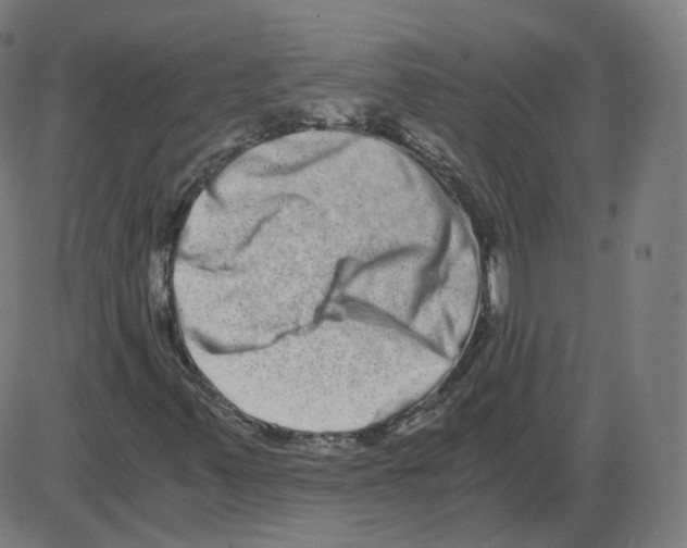 X0000084041347200703161821