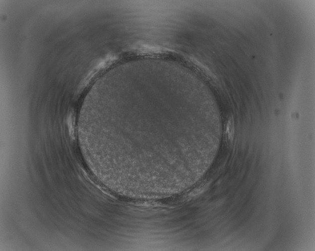 X0000084041348200703161821