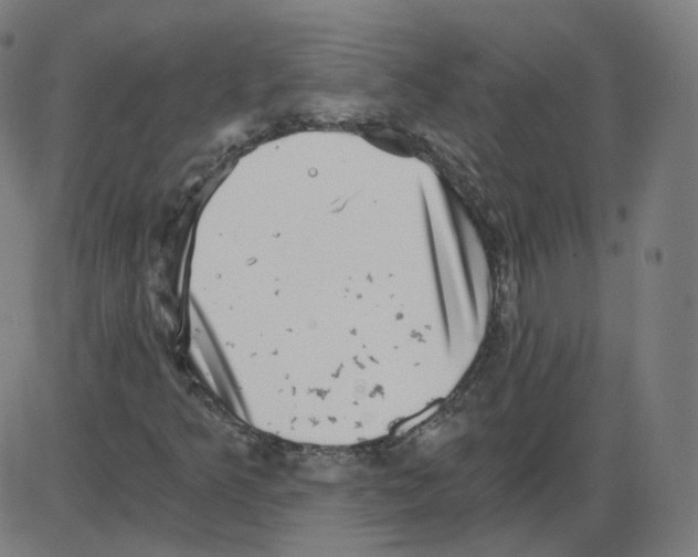 X0000084041349200703161821