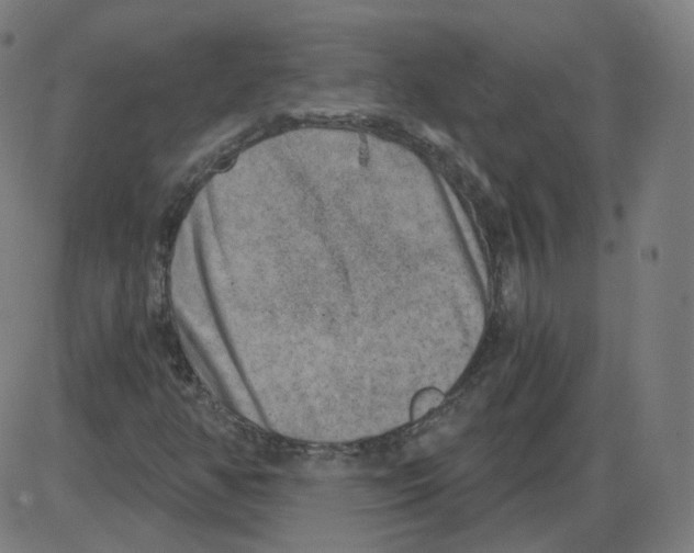 X0000084041350200703161821