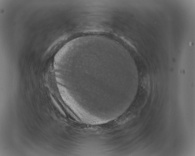 X0000084041351200703161821