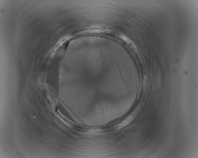 X0000084041353200703161821