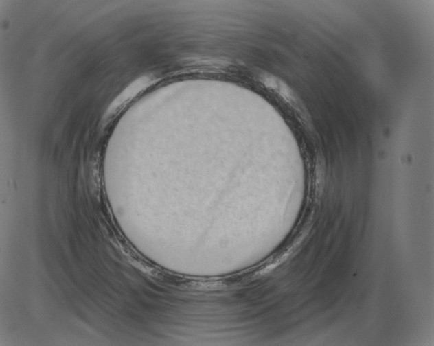 X0000084041354200703161821