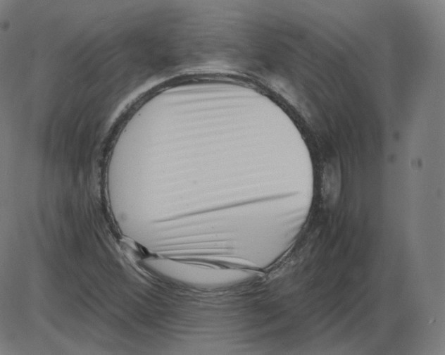 X0000084041356200703161821