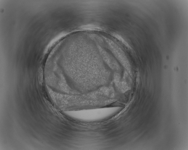 X0000084041358200703161820