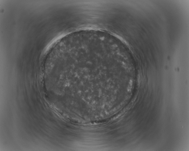 X0000084041359200703161820