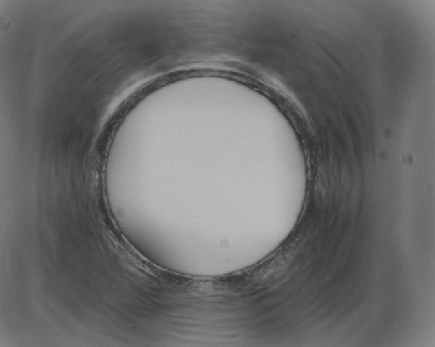 X0000084041360200703161820