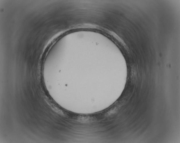 X0000084041364200703161820